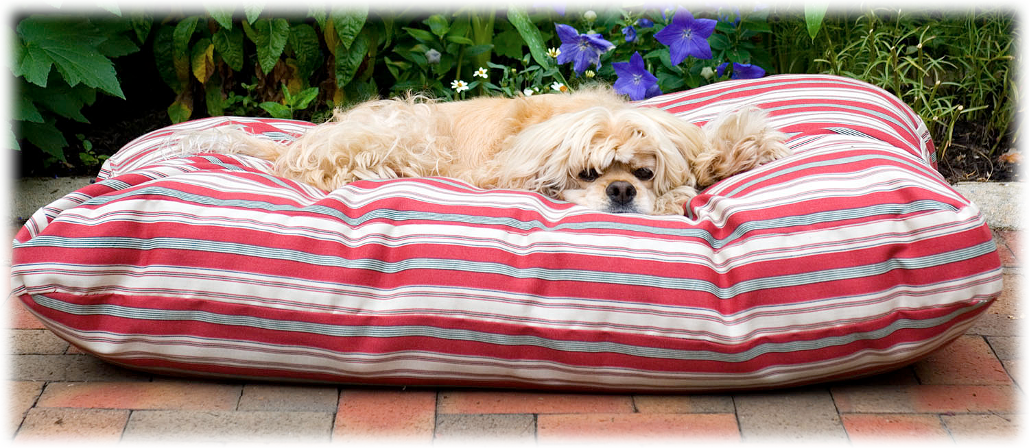 Carolina Pet Indoor/Outdoor Striped Jamison Dog Bed Cabela's